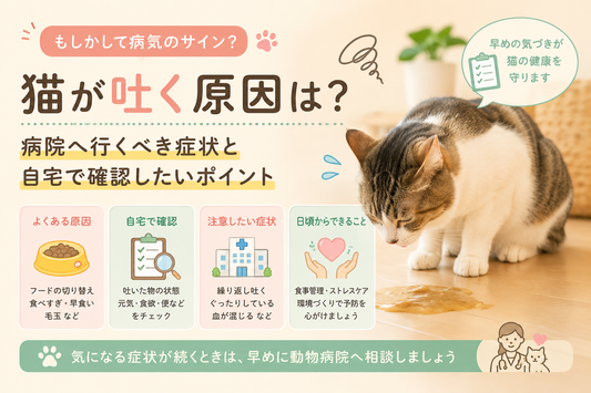 猫が吐く原因は？病院へ行くべき症状と自宅で確認したいポイント