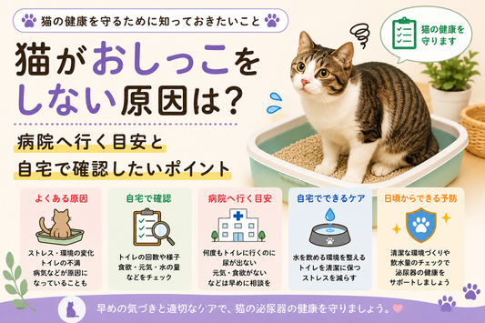 猫がおしっこしない！何時間まで大丈夫？原因・危険なサインと対処法