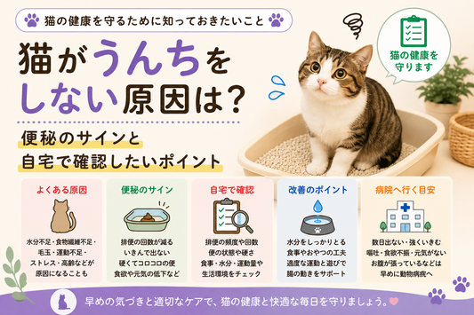 猫がうんちしない！何日まで大丈夫？便秘の原因・危険なサインと対処法
