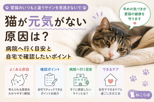 猫が元気がない原因は？病院へ行く目安と自宅で確認したいポイント