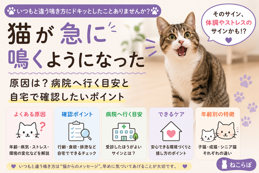 「猫が急に鳴くようになった原因は？病院へ行く目安と自宅で確認したいポイント」