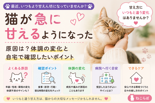 「猫が急に甘えるようになった原因は？体調の変化と自宅で確認したいポイント」