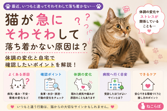 「猫が急にそわそわして落ち着かない原因は？体調の変化と自宅で確認したいポイント」