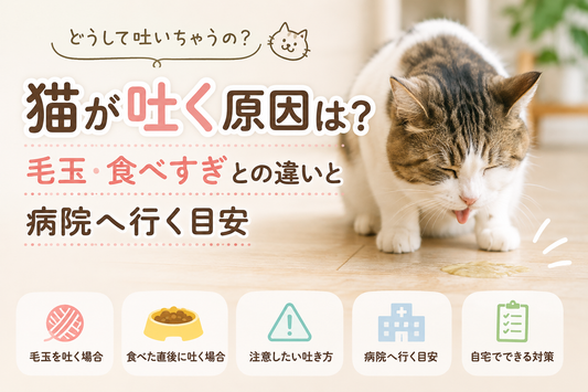 猫が吐く原因は？毛玉・食べすぎとの違いと病院へ行く目安