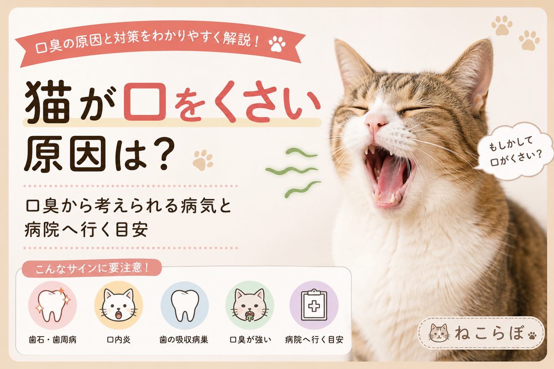 猫が口をくさい原因は？口臭から考えられる病気と病院へ行く目安