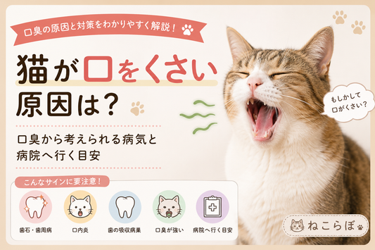 猫が口をくさい原因は？口臭から考えられる病気と病院へ行く目安