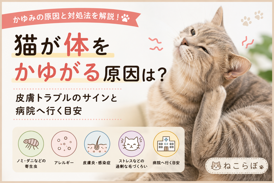 猫が体をかゆがる原因は？皮膚トラブルのサインと病院へ行く目安
