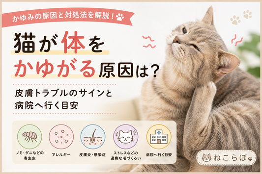 猫が体をかゆがる原因は？皮膚トラブルのサインと病院へ行く目安