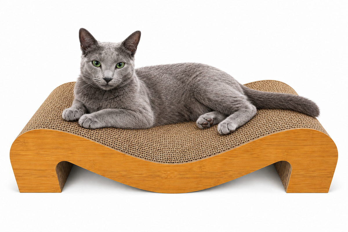 猫 爪とぎベッド M字型 60cm ワイドサイズ 高密度ダンボール 猫用爪とぎ ソファ型 スクラッチャー くつろぎベッド